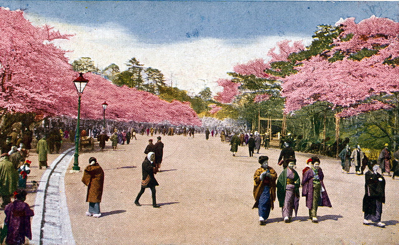1280x787px-Cherry-Blossoms-at-Ueno-Park-(Flower-Season-at-Tokyo)-vWA24