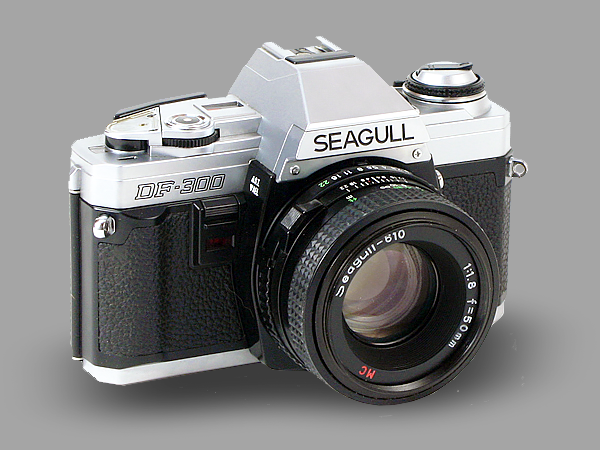 600x450px-Seagull-DF-300-Links-vWA24