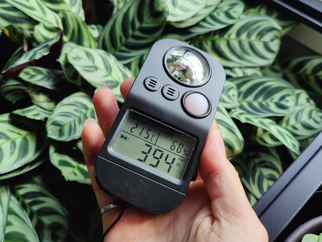 1280x960px-measuring-light-levels-for-growing-plants-vWA24